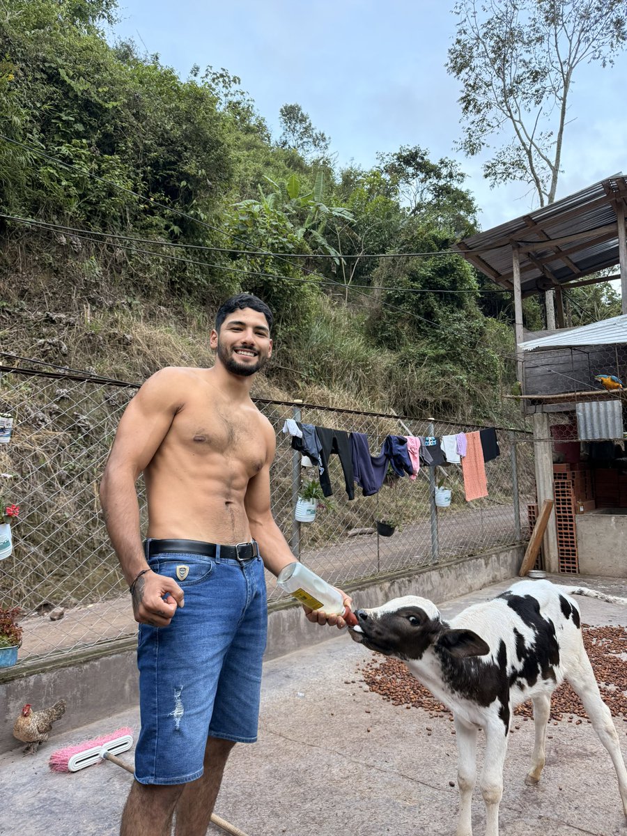 Maximo_120's tweet photo. Alimentando la ternera quien más le gustaría  tomar leche https://t.co/LSgVUq3ang