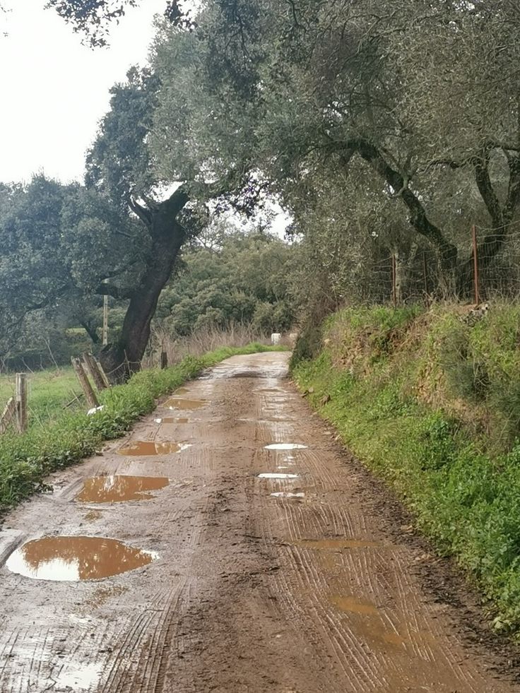 #Fato 🇧🇷 bom dia será que nossos aclamados políticos concorrendo ao aclamado cargo de presidente da República,tem alguma alternativa pra melhorar infraestrutura, moradia, saneamento básico e urbanização brasileira?