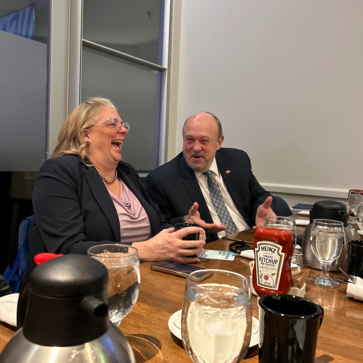 Dr. Michael Tibollo tweet media