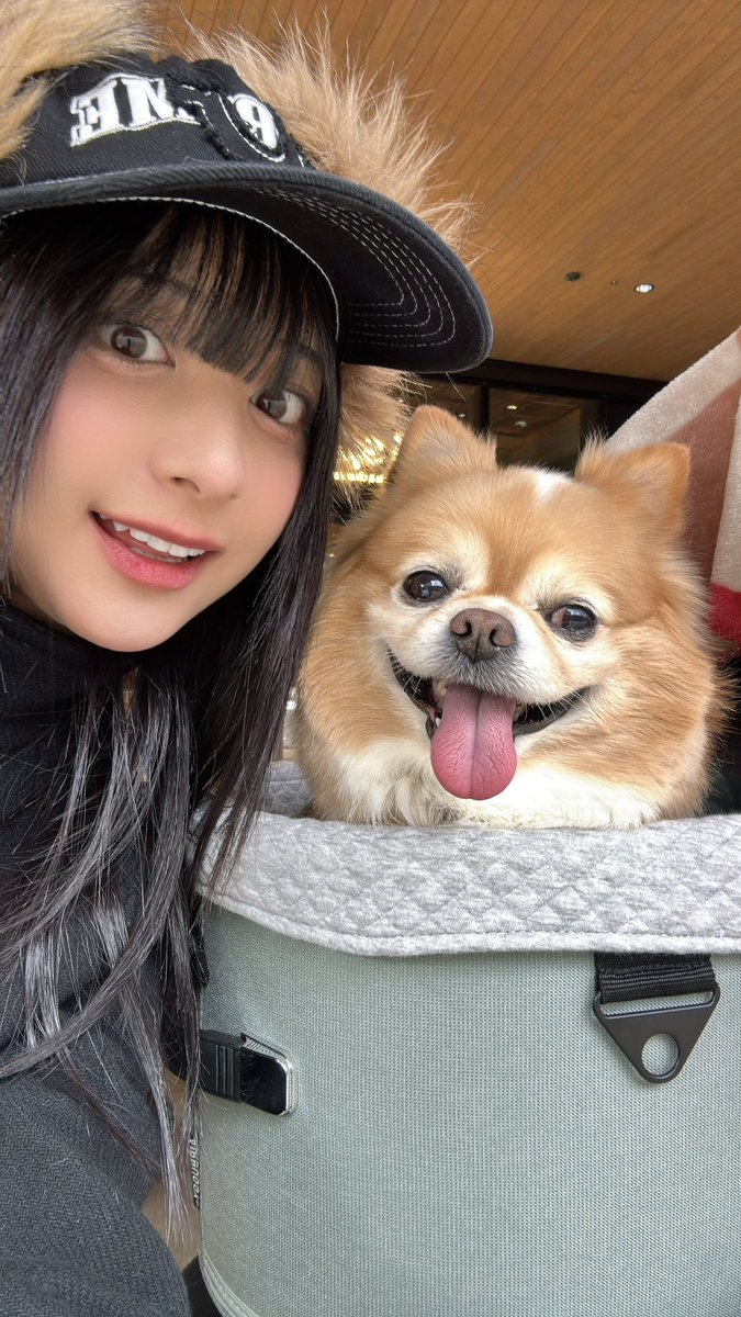 Alfie (アルフィ) #蓮燦 #SaisNest #あーちゃんまる