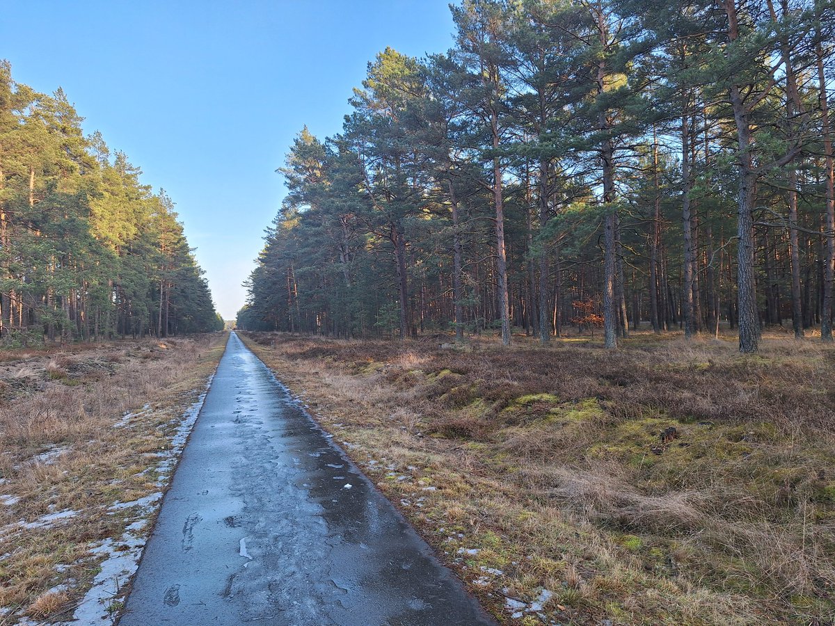 Велодоріжка вже без снігу 
+15°С сьогодні
Нарешті весна