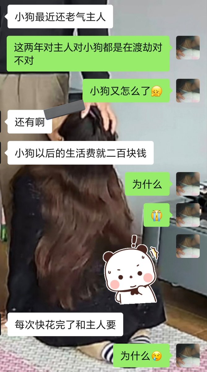 小雅（高先生的小狗狗） tweet media