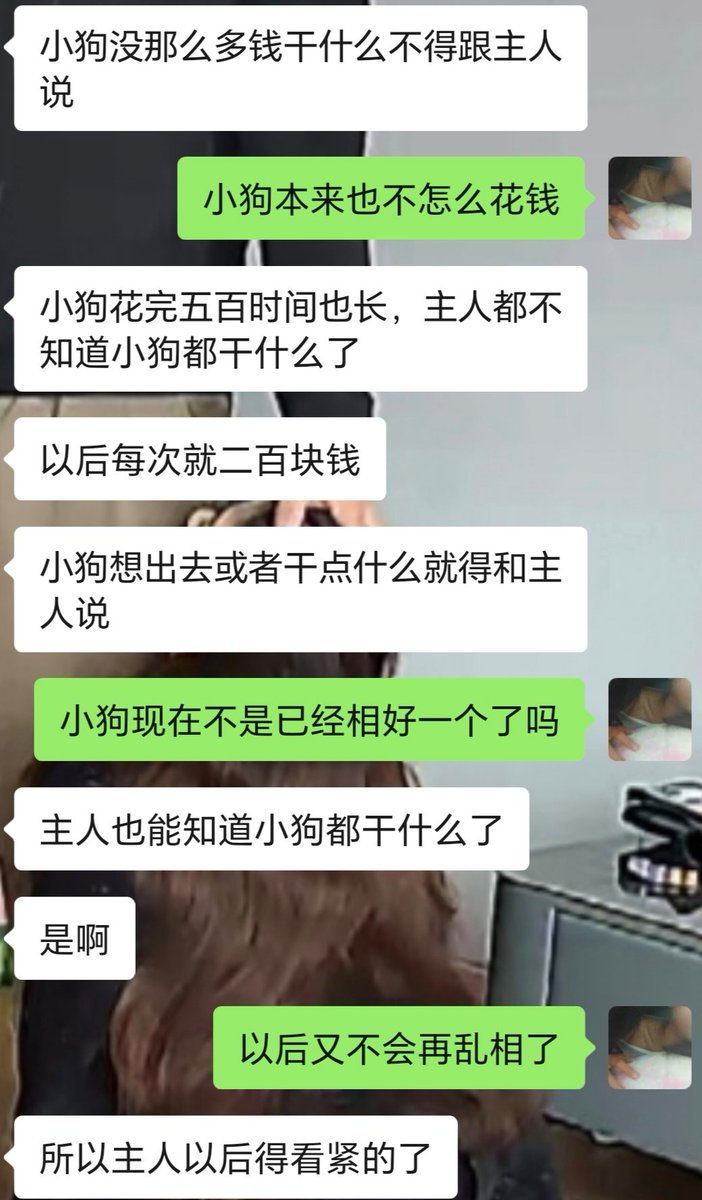 小雅（高先生的小狗狗） tweet media