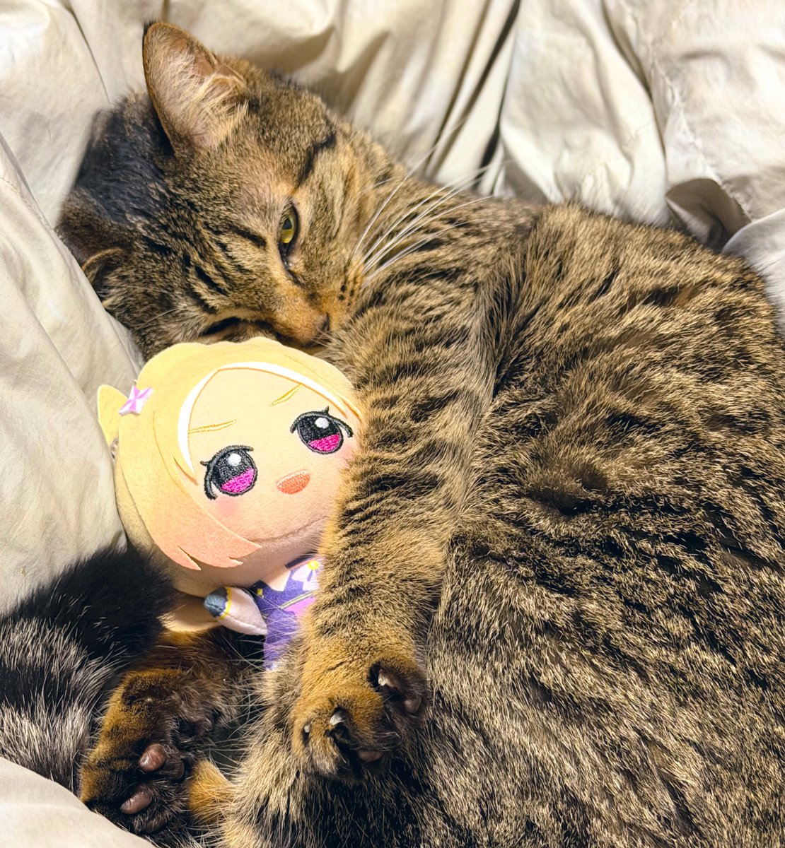 Bloop_beast's tweet photo. ﾈｹﾁｪﾝ…ｱｯ https://t.co/Q4s64OuBF6