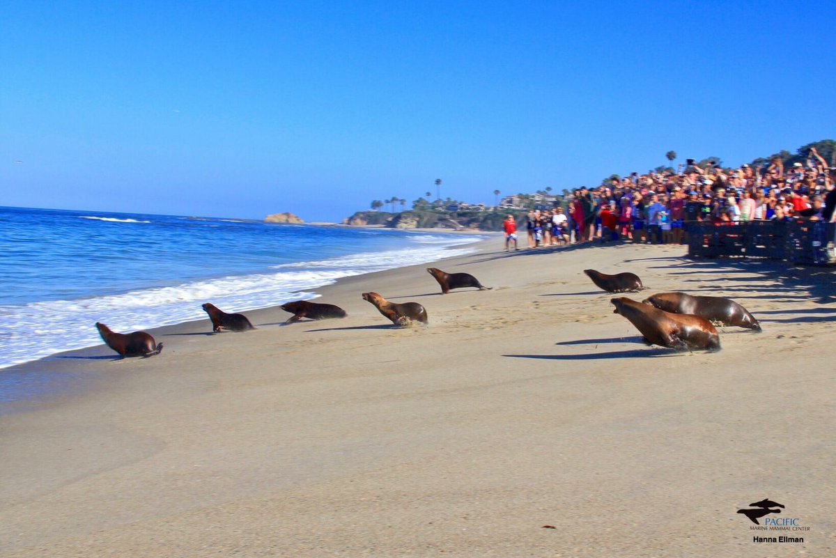 Center for Interactive Learning & Collaboration tweet media