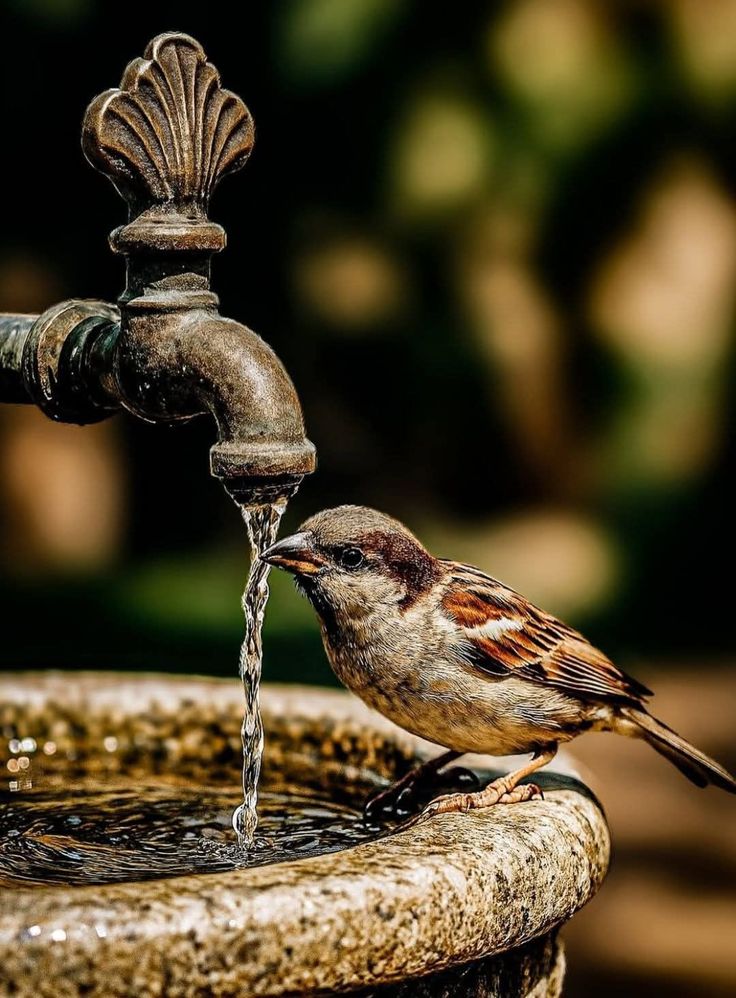 reflectionofeyes (@reflectioneyes) on Twitter photo 