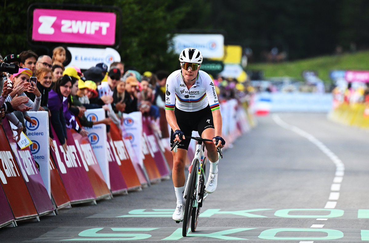 MaschBasch tweet media