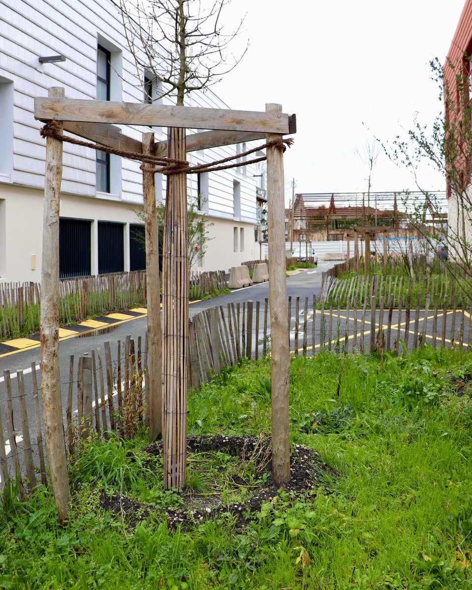 🌿 Bastide Niel poursuit sa végétalisation en 2026 ! 

Bientôt : 

🌳 180 arbres;
🪻 2 000 m² de surfaces publiques végétalisées supplémentaires;
🩴 Des espaces de pétanque allée des Platanes.

▶️ bastideniel.fr/les-ambitions-…

#Bordeaux #BastideNiel #Végétalisation