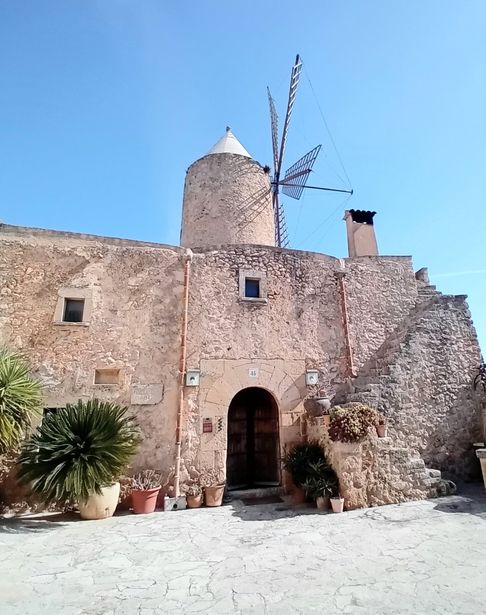 RAFEL PERELLÓ tweet media