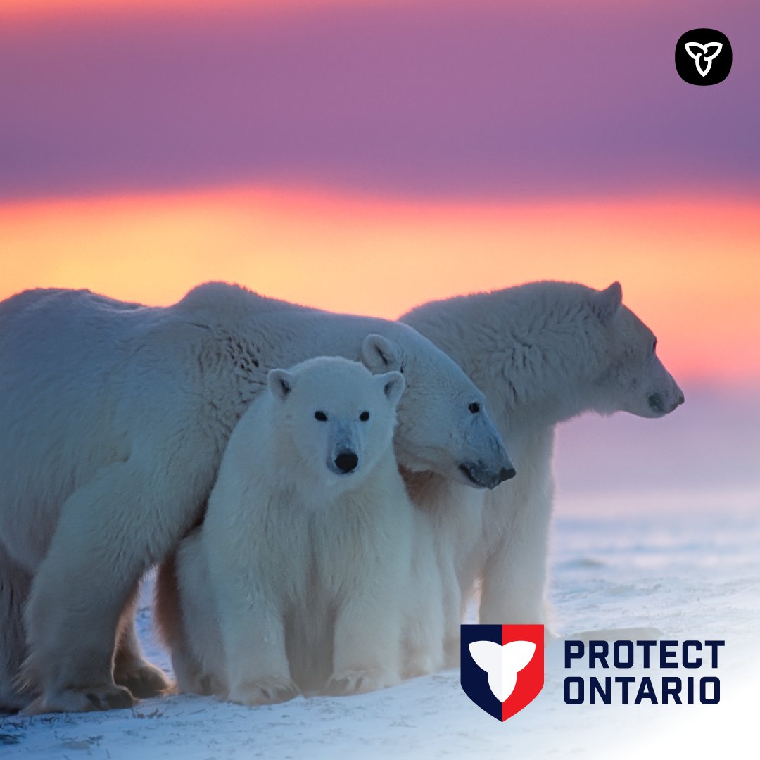 Environment Ontario tweet media