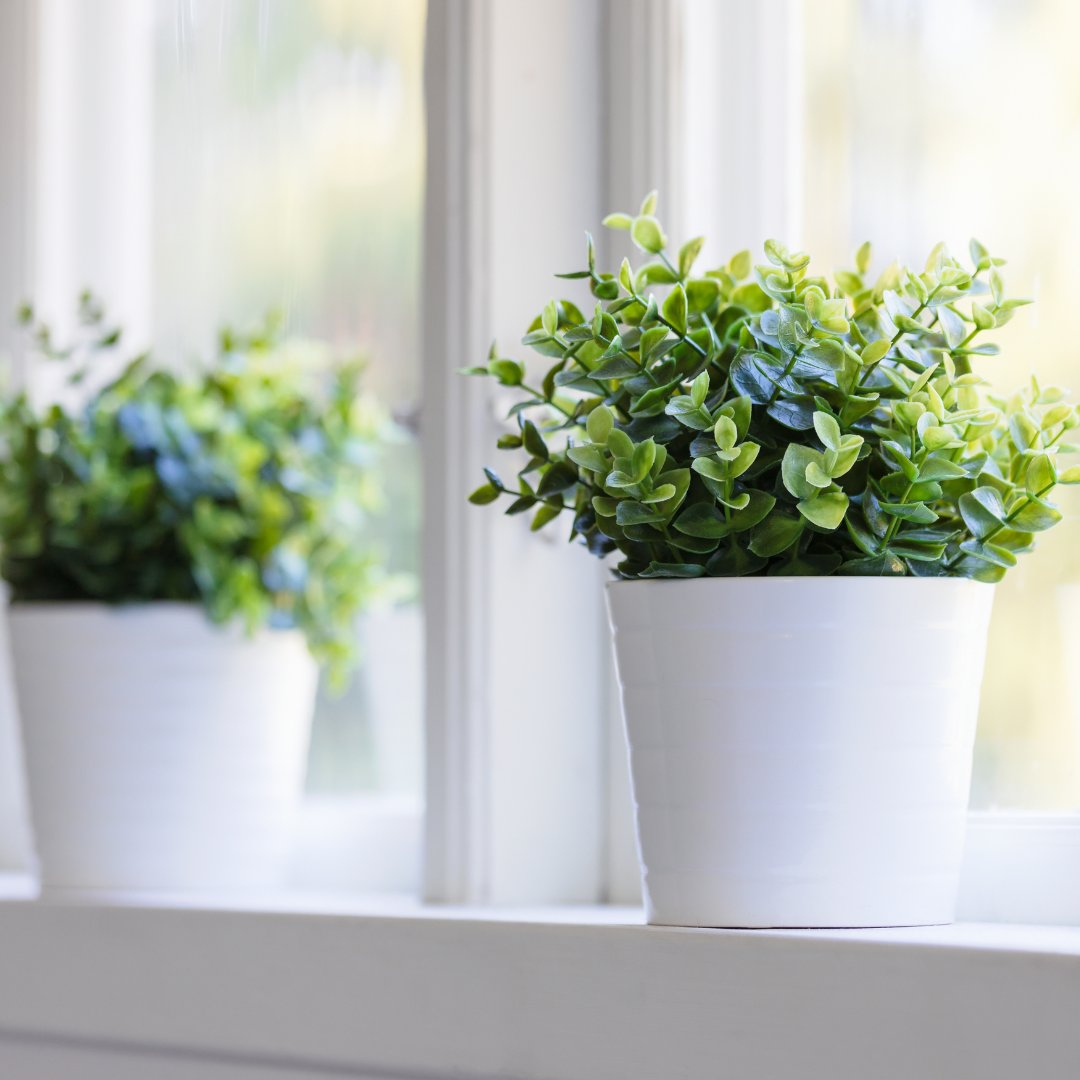 BreezePointe's tweet photo. Faux plants are a home décor must-have! They add the perfect pop of green, brighten up any corner, and bring in that fresh, natural feel—without needing sunlight, water, or a green thumb.🌿🪴 https://t.co/fLrQpzAybS