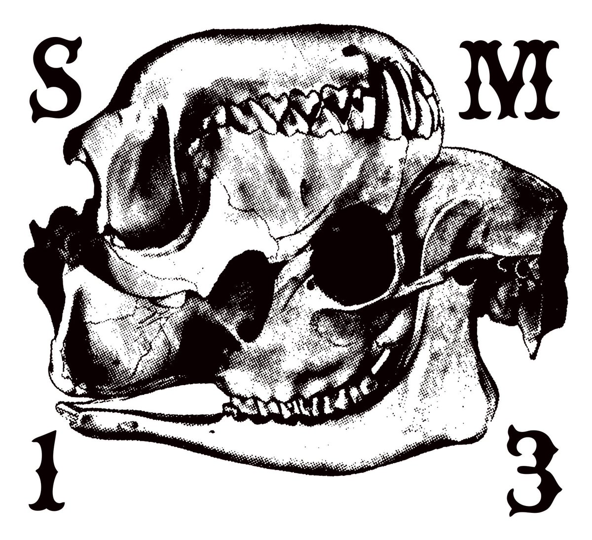 大野雅彦 tweet media