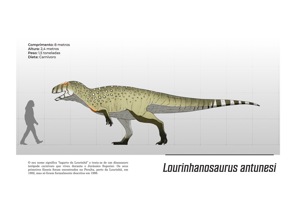 O Paleotuga tweet media