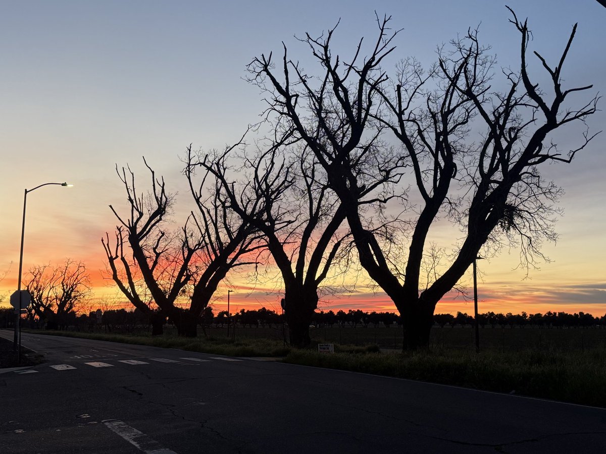 𝘿𝙧. 𝘾𝙧𝙮𝙨𝙩𝙖𝙡 𝙍𝙤𝙜𝙚𝙧𝙨 ≽(◕ ᴗ ◕)≼ 🐥🐸 tweet media