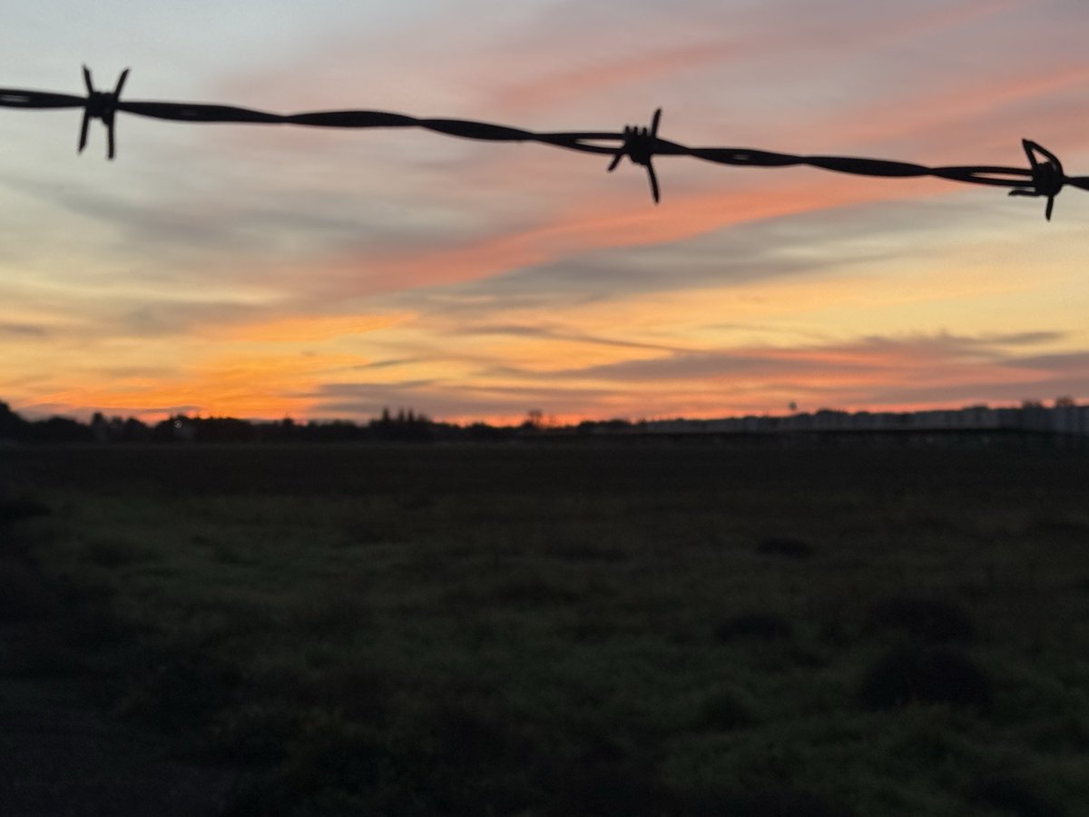 𝘿𝙧. 𝘾𝙧𝙮𝙨𝙩𝙖𝙡 𝙍𝙤𝙜𝙚𝙧𝙨 ≽(◕ ᴗ ◕)≼ 🐥🐸 tweet media