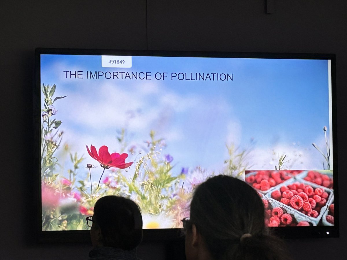 Scottish Beekeepers tweet media