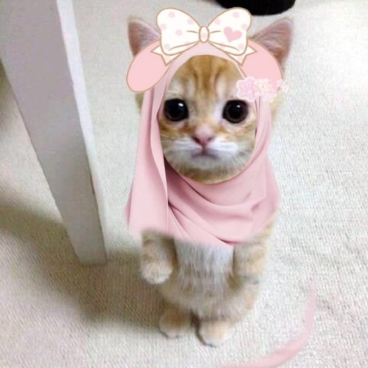 Atas restu mmh pph, izinkan sanatozxki ini masuk pesantren yang rock and roll, yang mau masuk bareng ayok biar bisa sekamar nanti kalau paskil nya👉👈