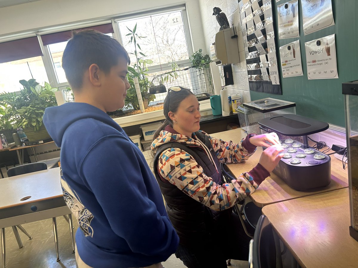 Sun Choe tweet media