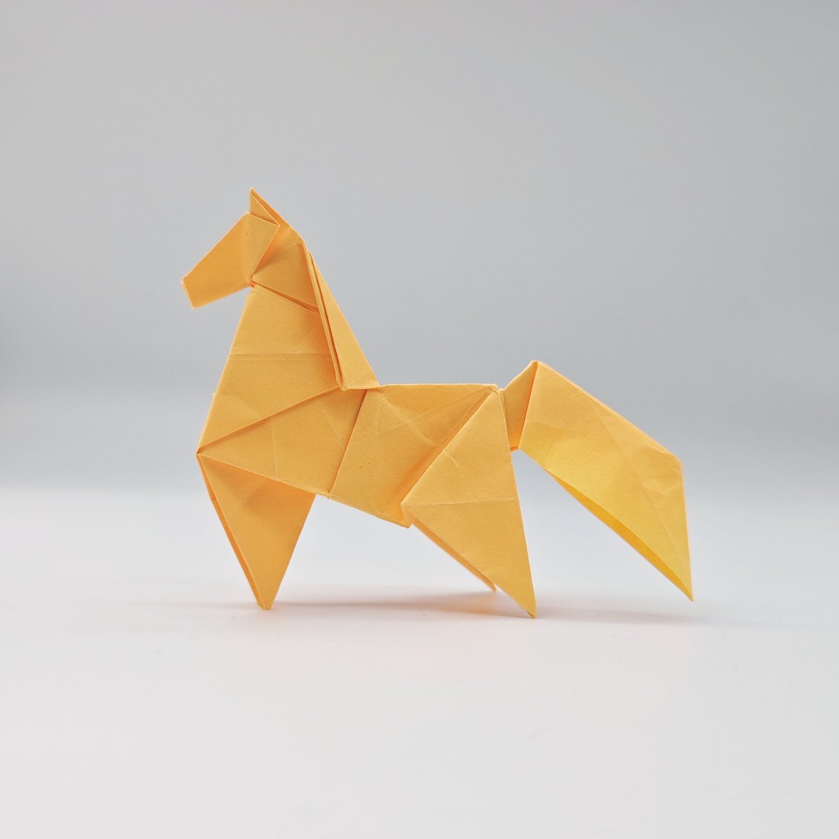 orientalmasterz's tweet photo. Horse by @syn55129932 
Broadclub Cuttlefish by @Suke527779
Nightheron by @Busi12341
Stegosaurus by @Nshatner https://t.co/aGn4I8XeGB