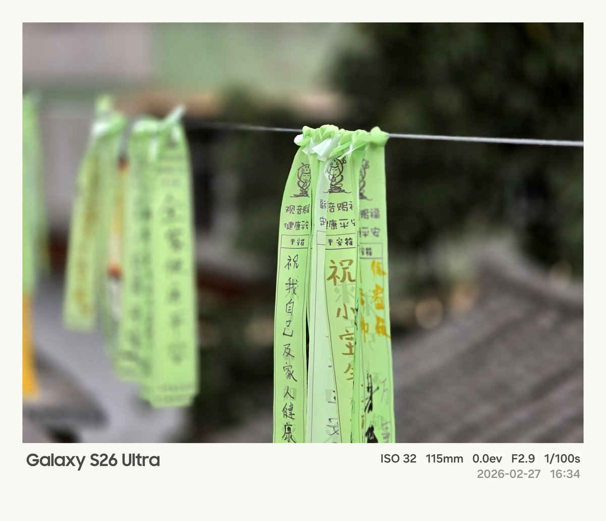 I took hundreds of photos and am now sharing them with you, all taken with the Galaxy S26 Ultra.