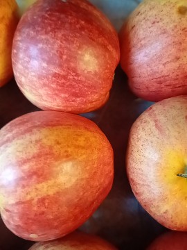 Goacher's Fruit tweet media