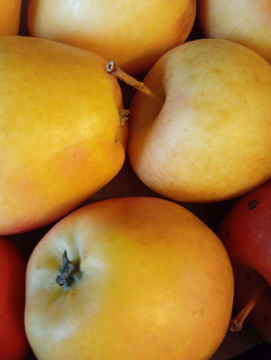 Tomorrow we're at Brigg and West Bridgford Farmers' Markets with our home grown apples and pears, as well as all our usual honey, jams, chutneys, homemade fruit pies etc