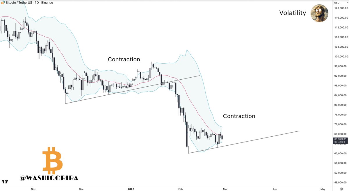 Titan of Crypto tweet media