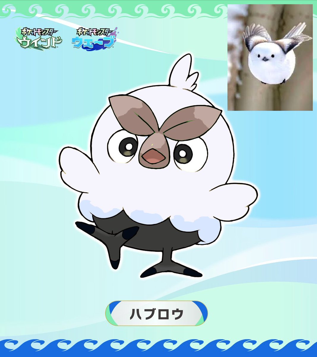 crossingcasey tweet media