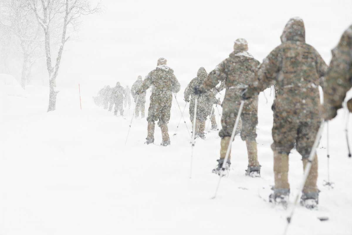 U.S. Marines tweet media