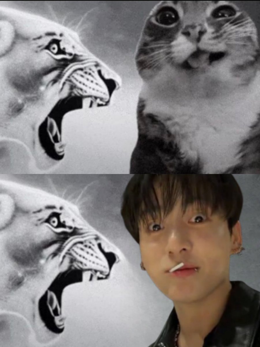 🐰 (@tokiskoo) on Twitter photo 