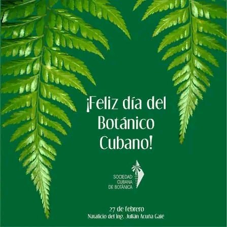 CitmaArchivo's tweet photo. Cada 27 de febrero, se celebra el Día del Botánico Cubano de forma simultánea en varias provincias del país,para conmemorar el natalicio del Ing. Julián Baldomero Acuña Galé, destacado agrónomo cubano, considerado uno de los padres de la botánica cubana. #CitmaPinar. https://t.co/sDZHs0DRsO