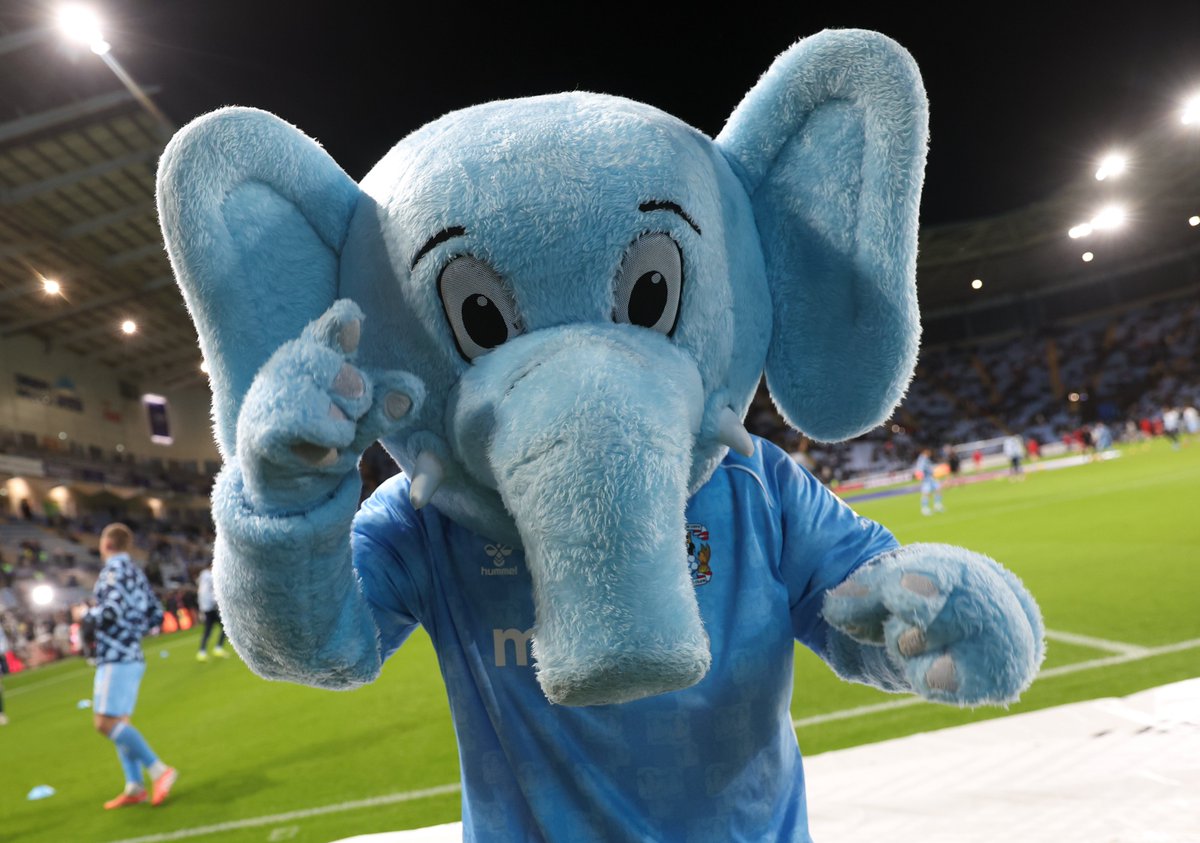 Sky Blue Sam tweet media