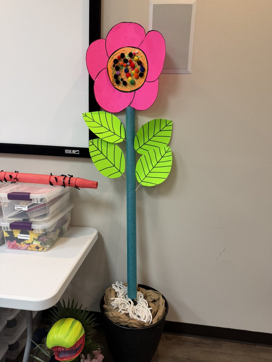 Rocket STEM Report tweet media