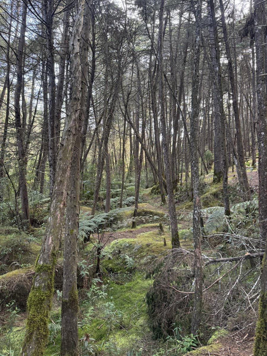 Jayce🔸 tweet media