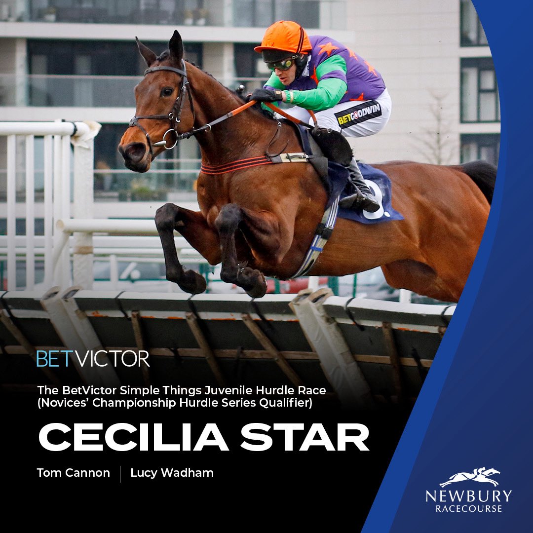 Newbury Racecourse tweet media