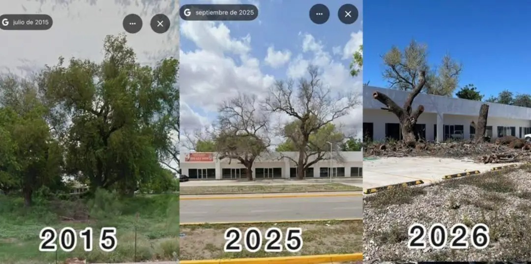 Los Mochis Out Of Context tweet media