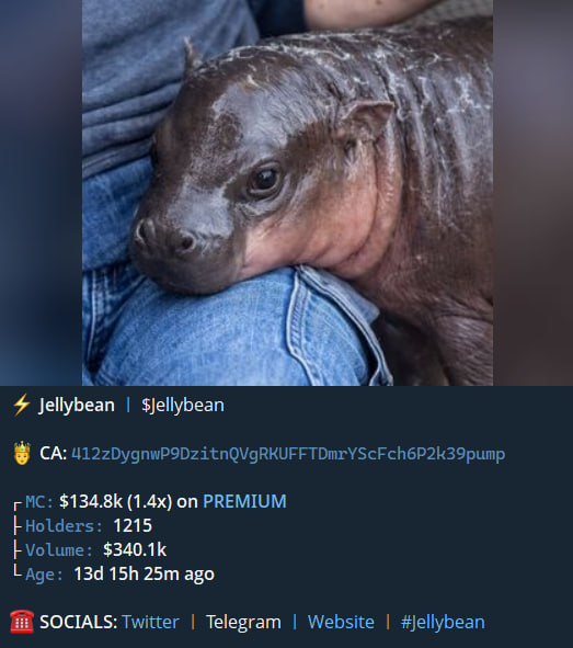 SSANGYONG🐉🐉 tweet media