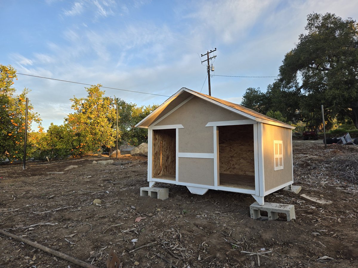 Chris Sayer 🥑 tweet media