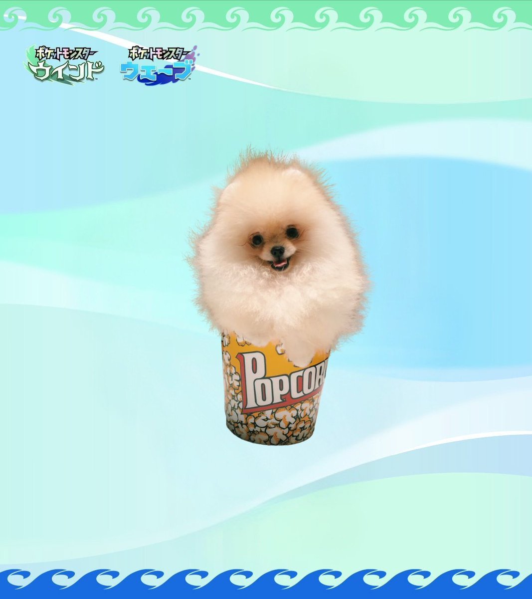 Os outros dois também... 😶

#leak #pokemon #PokemonWindsWaves #pokemon30