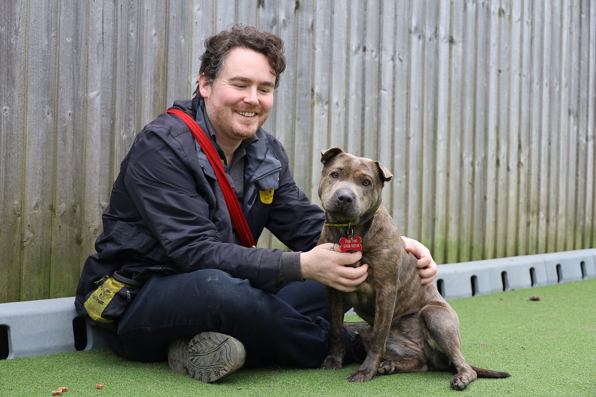 Dogs Trust Leeds tweet media