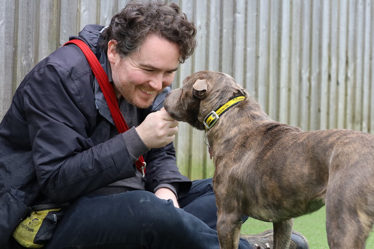 Dogs Trust Leeds tweet media