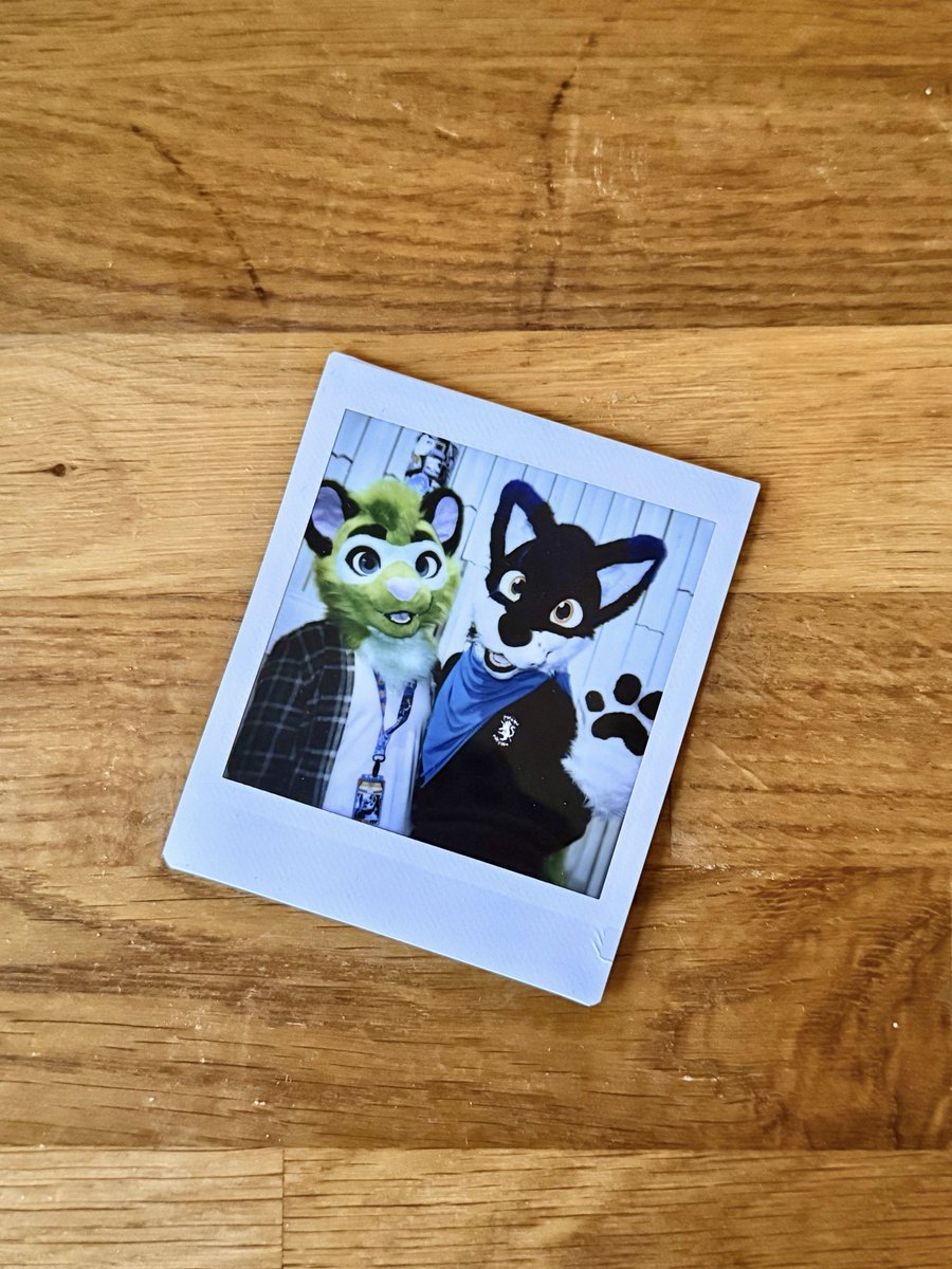 carlracc's tweet photo. Happy #FursuitFriday! 🐾✨ Have a nice weekend!!

🐺: @vlaaacek https://t.co/qxrVI7uFRY