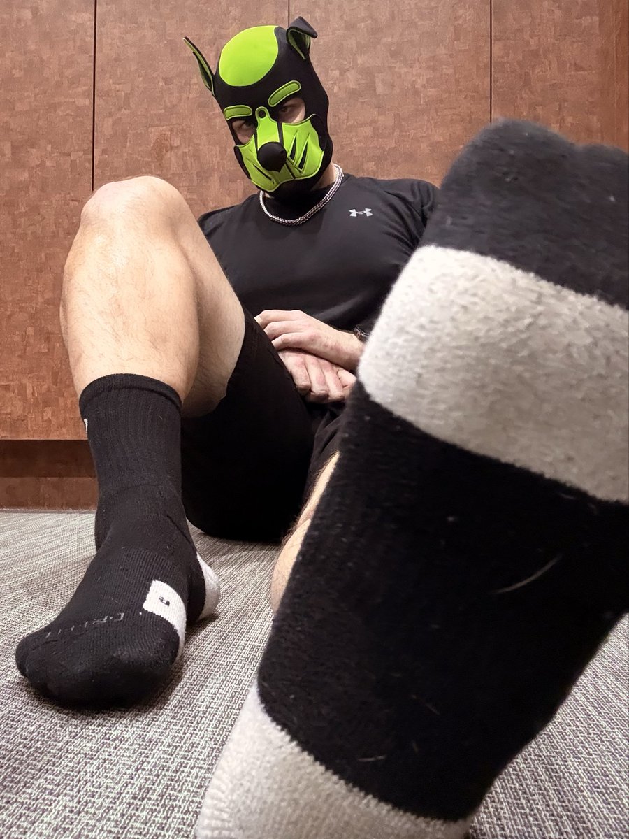 ISOpuppers's tweet photo. The after workout stretch is the best part! Someone come give these sweaty feet a rub for me. ^^ 💚🐾🦴

#pupplay #puphood #gaypuppy #gayfetish #gaysock #gayworship https://t.co/HnmTlwNGFa