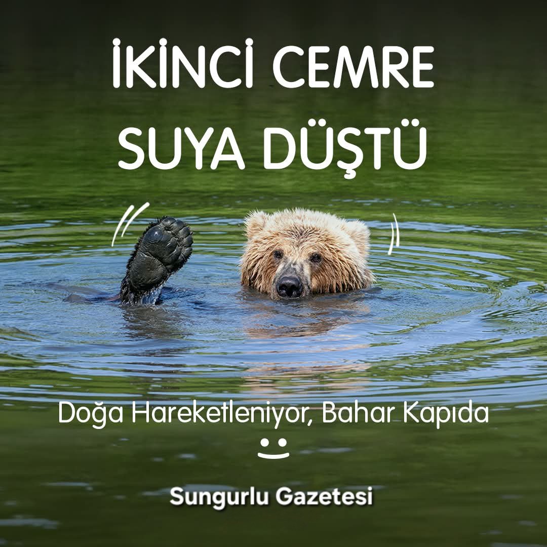 SUNGURLU GAZETESİ (@sungurlugazetee) on Twitter photo 