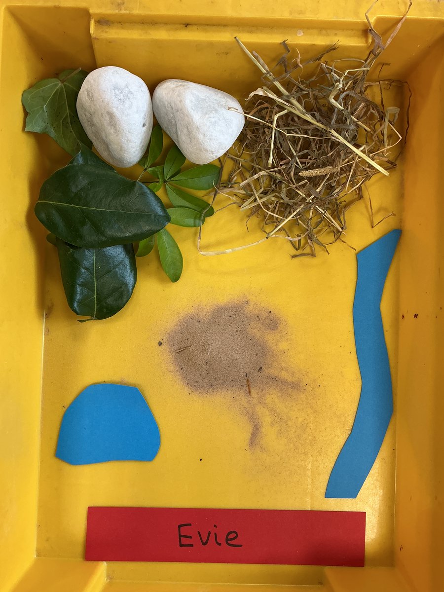 StSavReception tweet media