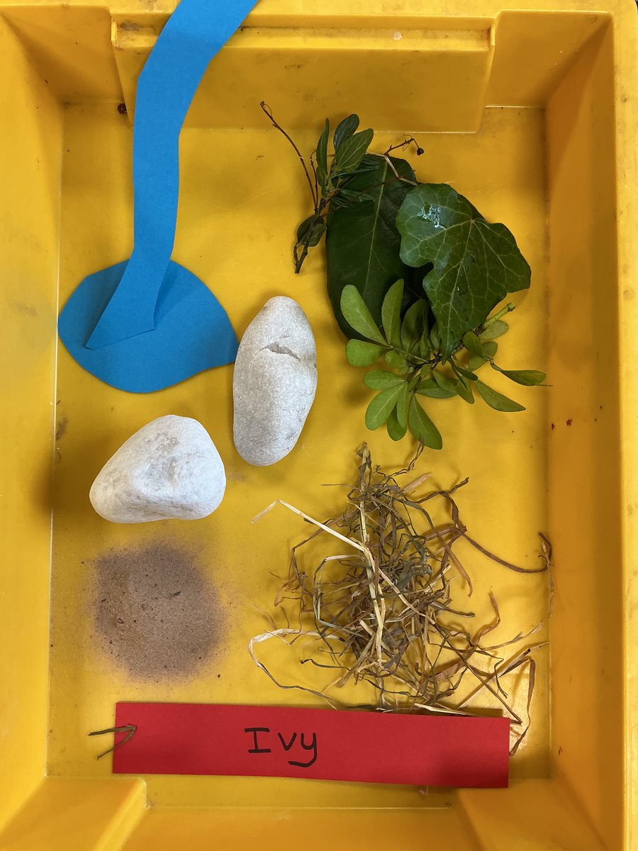 StSavReception tweet media