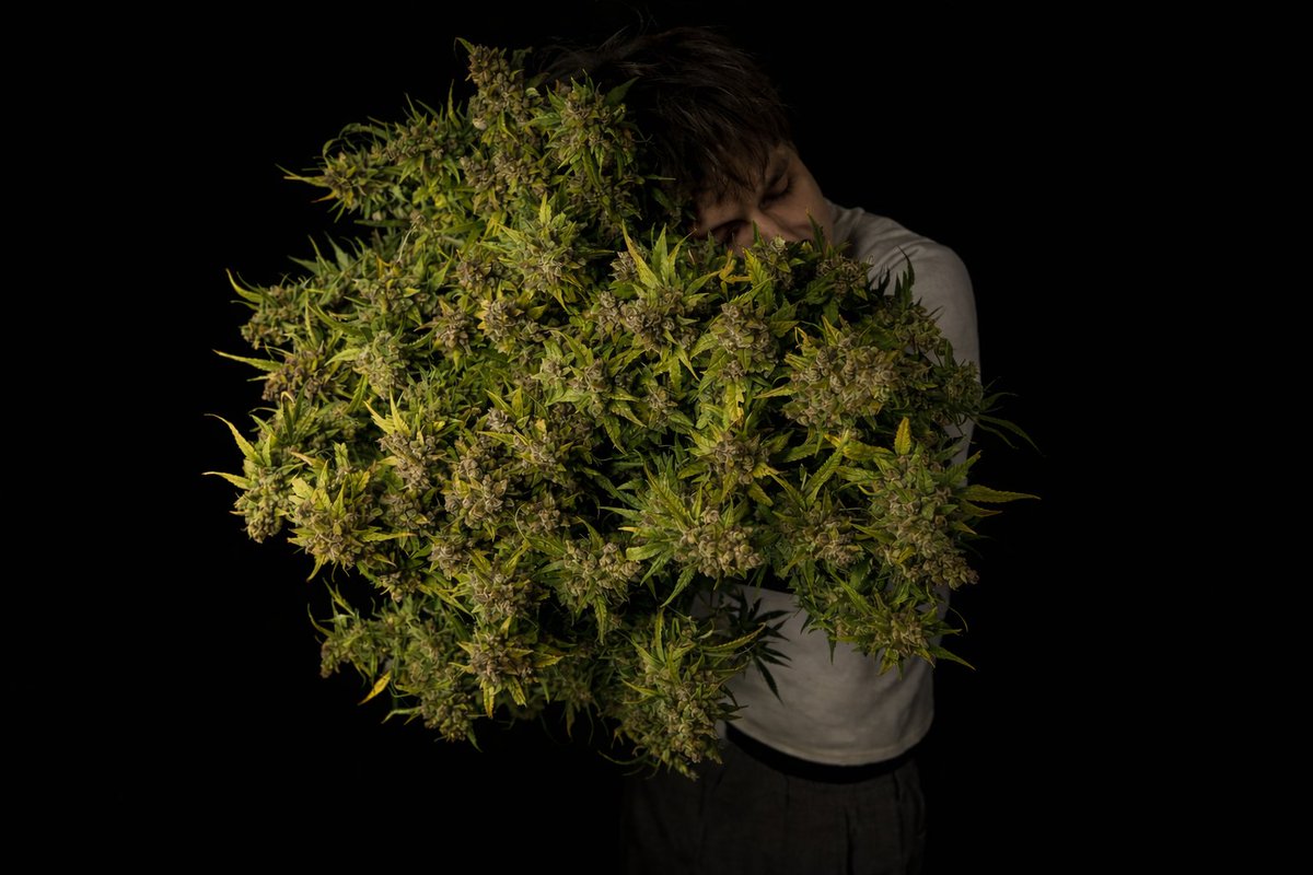 💨4⃣2⃣0⃣ HIGH GIVEAWAY 💨
T-shirt + NEW LOGO SOCKS TEXTILE POT + Jar
10 seeds of your choice 🌱✨
You know what to do:
• Follow fast_buds
• Tag 3 friends
• Like + Retweet
Banana Purple Punch Auto grower_d_wondrej
We will announce the winners next week!