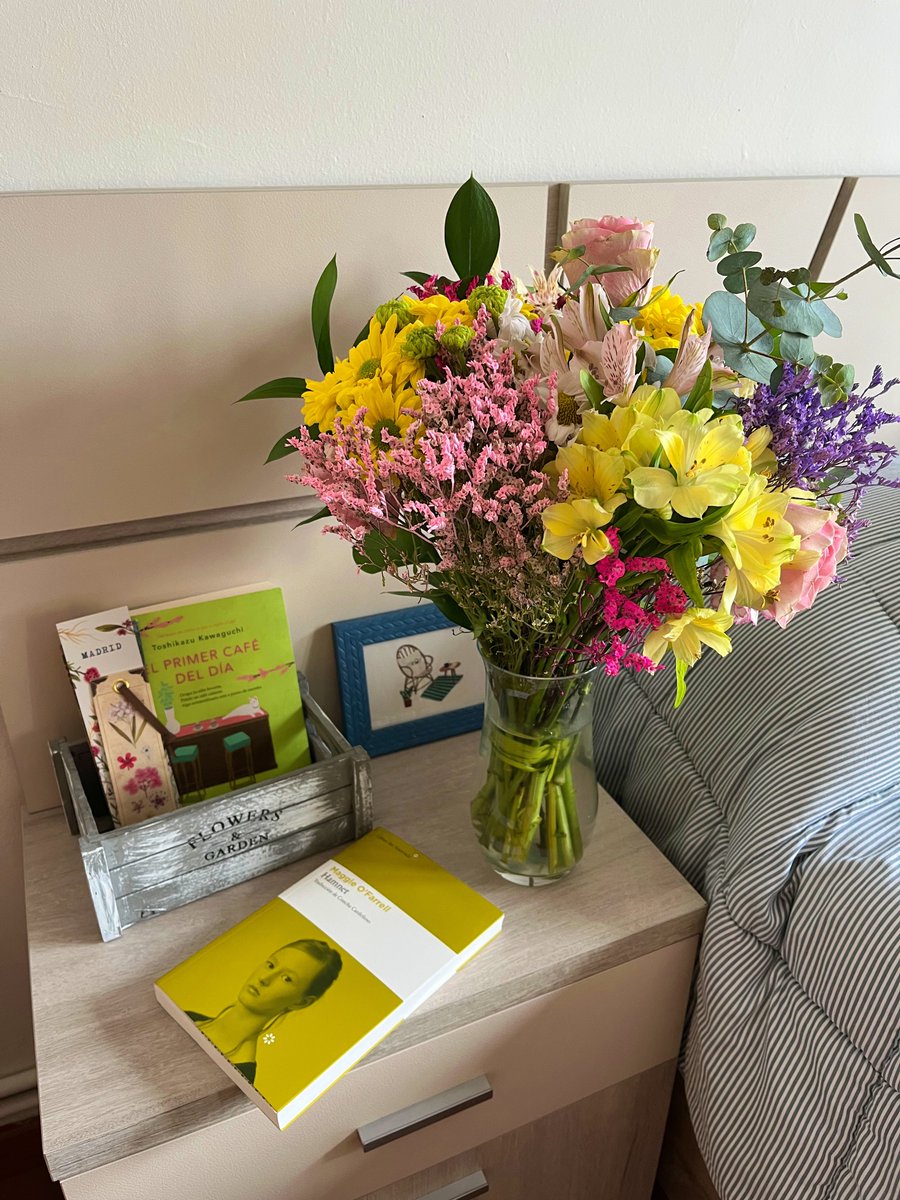 albaricoque 🌸 tweet media