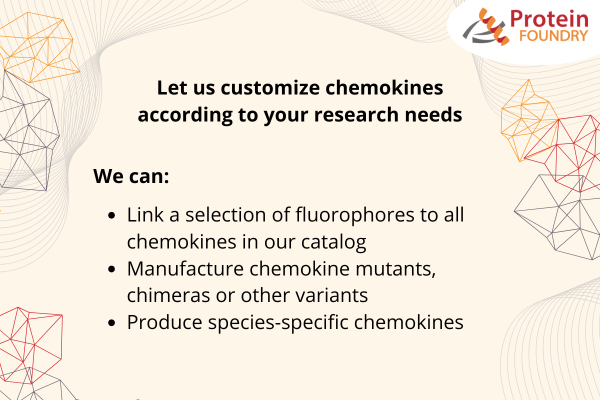 proteinfoundry's tweet photo. Looking for custom chemokine solutions? Whether you need tailored proteins or specialized support, we are here to help.

Sign up for a free consultation today: https://t.co/43JV1GwTNx

#Biotech #Chemokines #DrugDiscovery #Research #BiomedicalResearch https://t.co/mkJ1b4aCwW