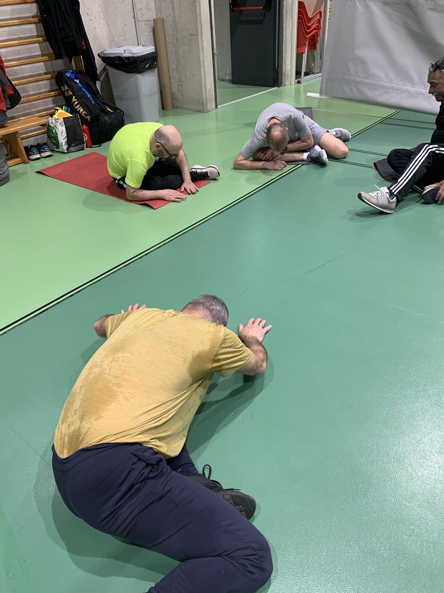 badMMintonproject tweet media